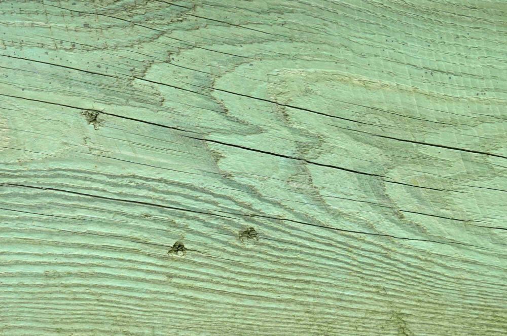 Pressure treated wood green